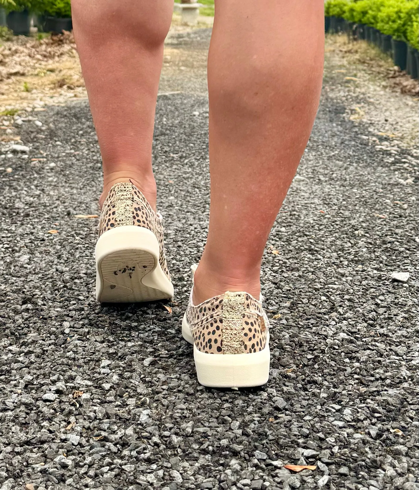 "Beachside" Slip On Canvas Sneaker in Pixie Cheetah by Blowfish Malibu