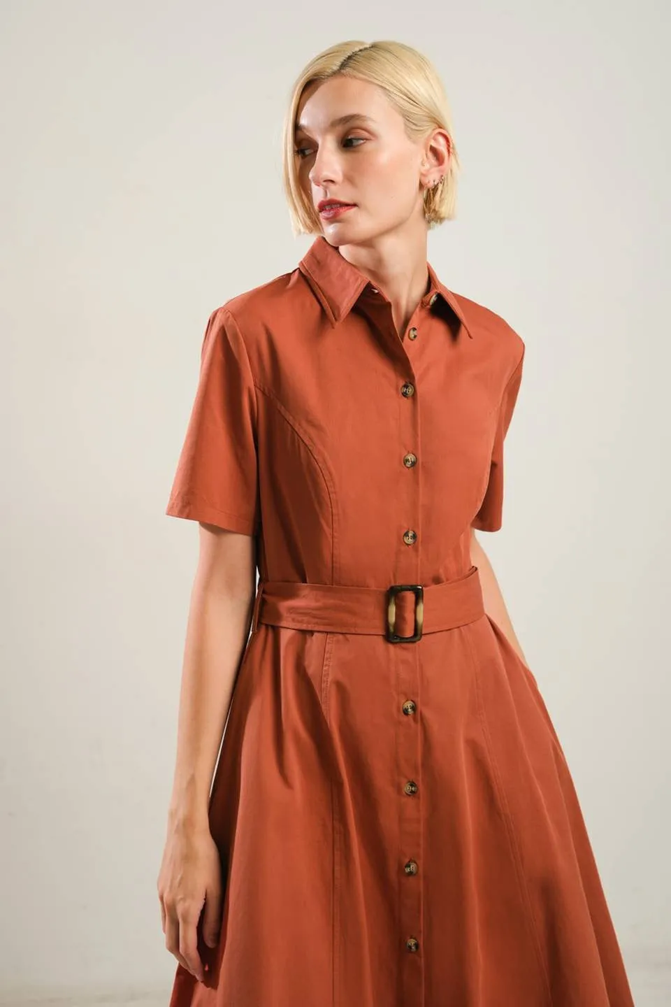 Shirt Button Down Fit Flare Dress Brick